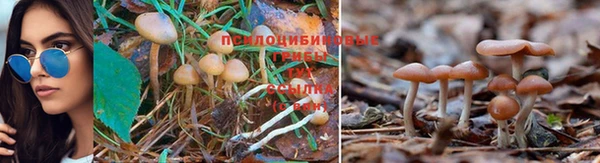 спайс Медвежьегорск