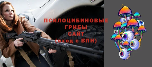 спайс Медвежьегорск