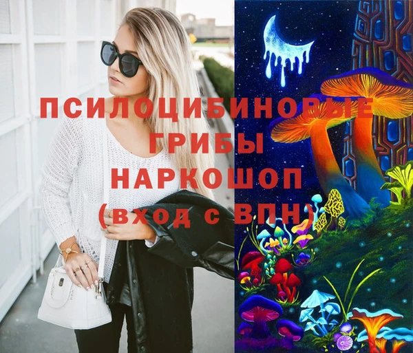 прущие грибы Медногорск