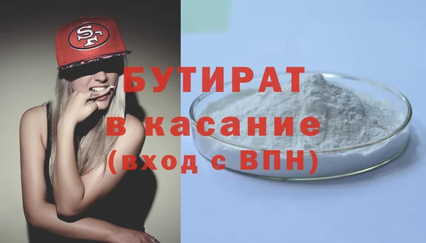 прущие грибы Медногорск
