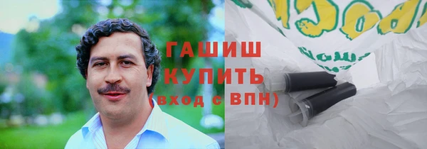 прущие грибы Медногорск