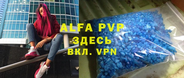 прущие грибы Медногорск