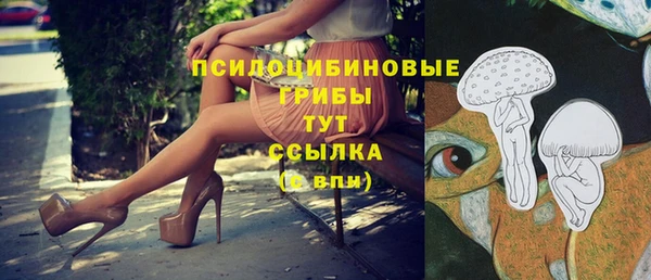 спайс Медвежьегорск