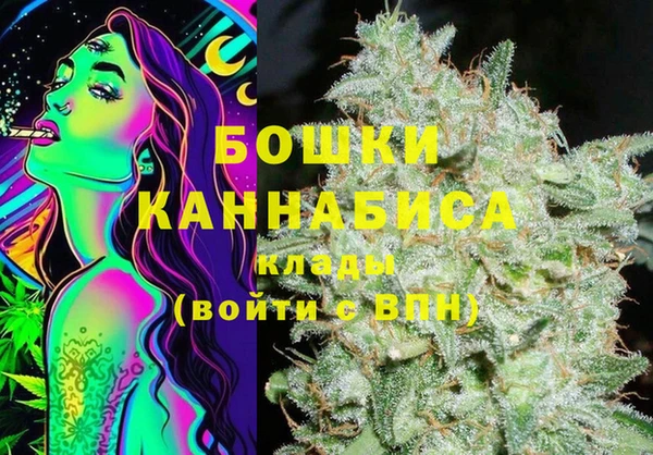 гидра Мегион