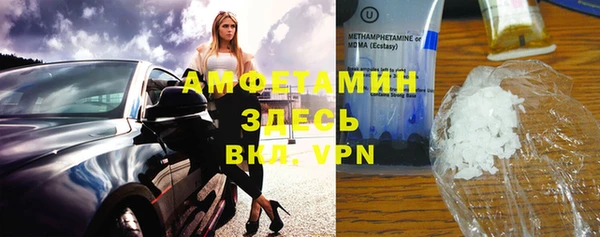прущие грибы Медногорск