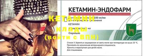 прущие грибы Медногорск