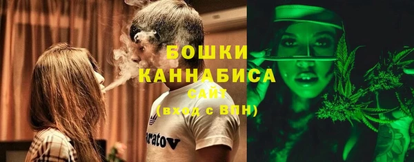 гидра Мегион