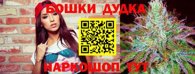 ешки Абакан