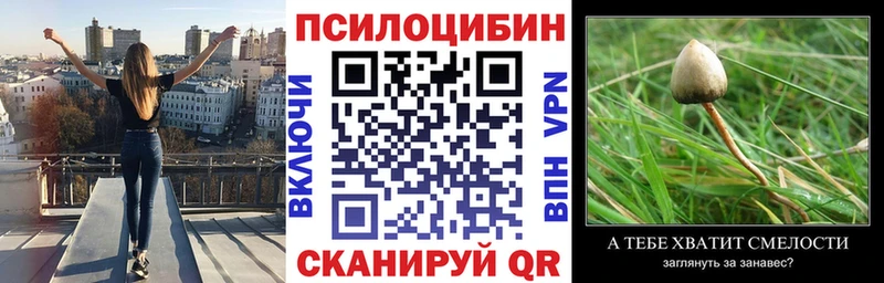 цены наркотик  Бийск  Галлюциногенные грибы прущие грибы 