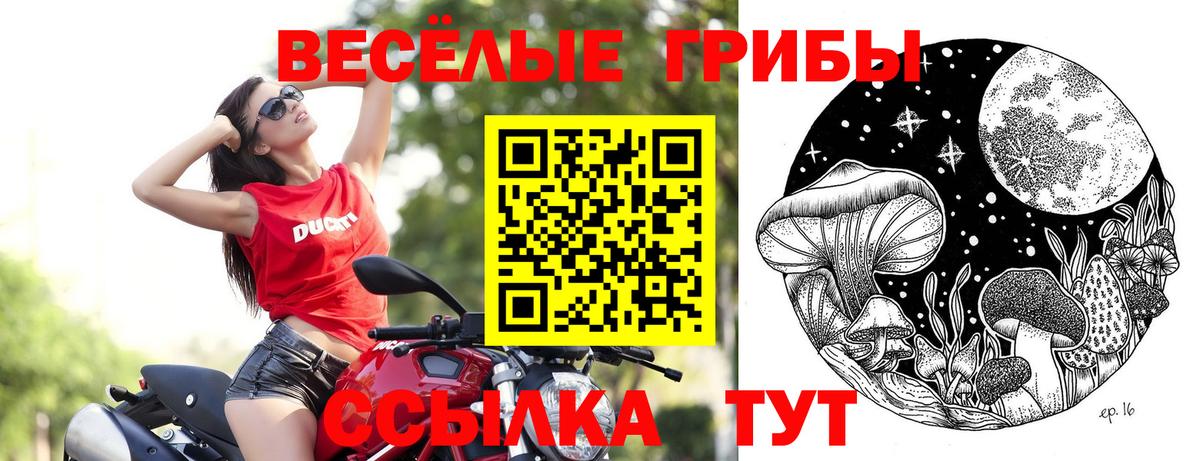 Галлюциногенные грибы Magic Shrooms  Бийск  Псилоцибиновые грибы ЛСД 