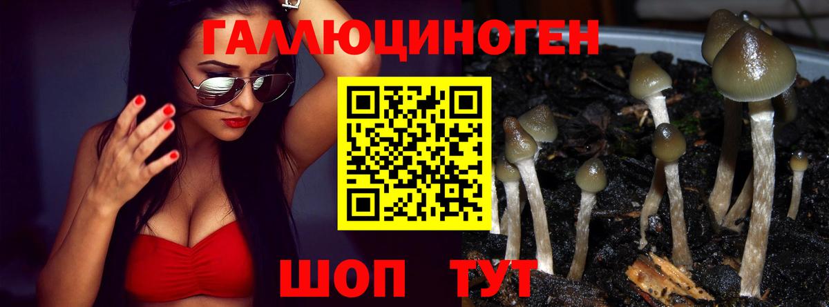 купить наркоту  Галлюциногенные грибы мухоморы  Вход с VPN  Бийск 
